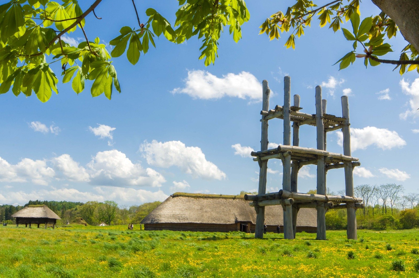 🏛️ 조몬 시간 유희관(조몬 지유칸) 이미지 6